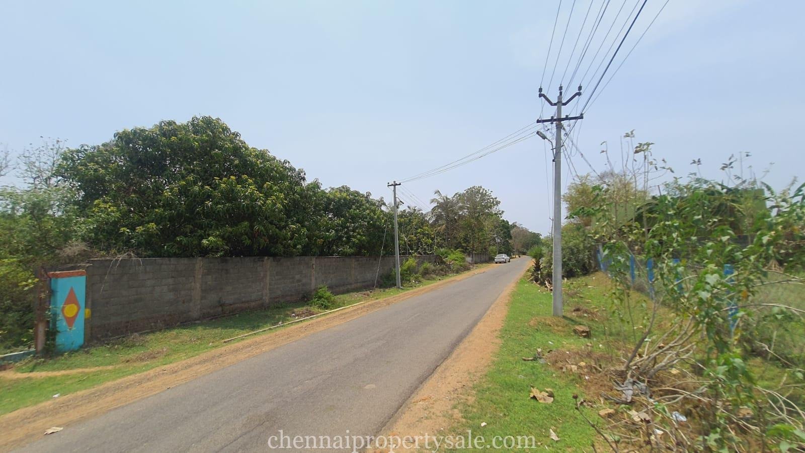 80 Acres Farm Land Sale in Sunguvarchatram Pannur