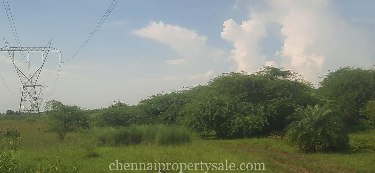 82 Acres industrial Land Sale in Mappedu