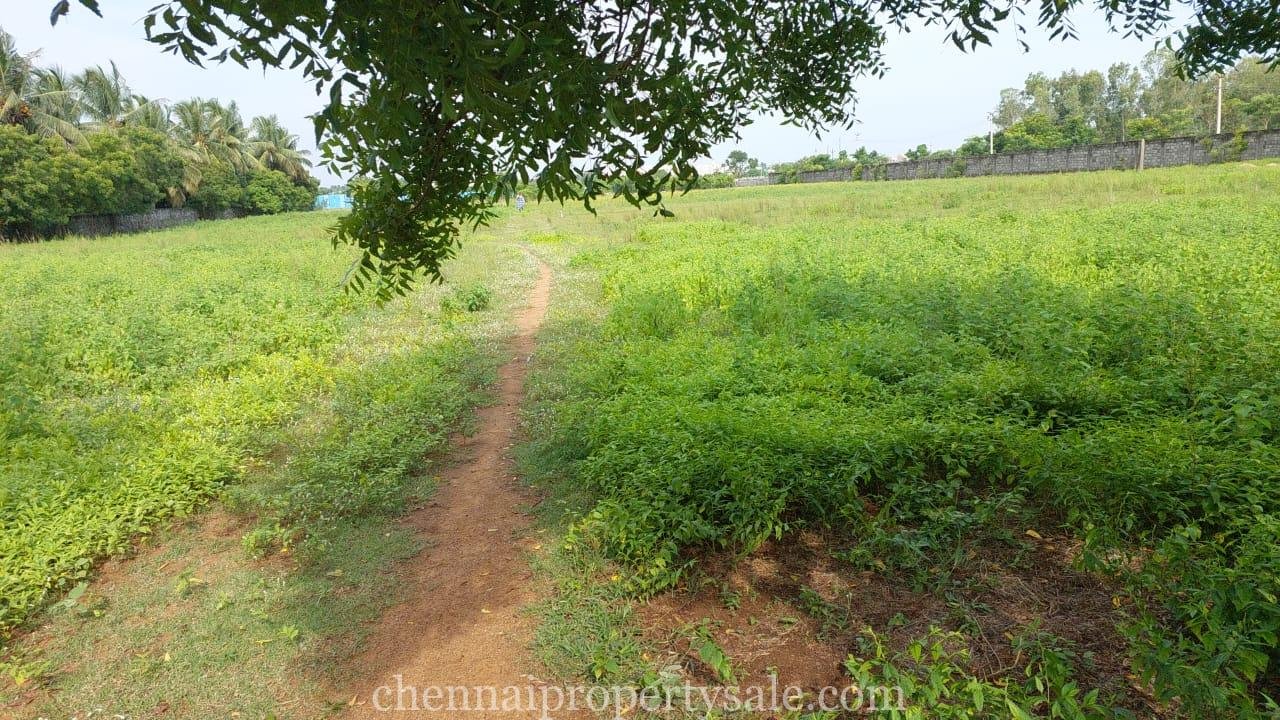 1 Acre 3.5 Cent Residential Land Sale in Thaiyur