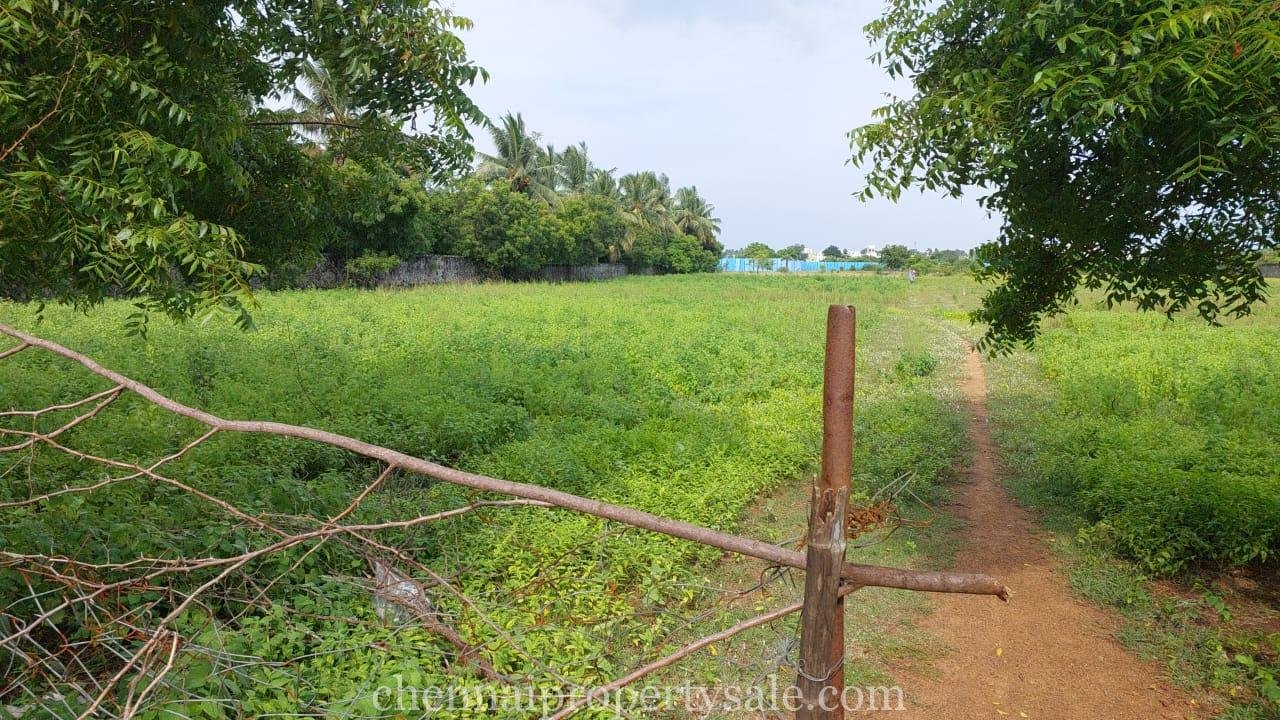 1 Acre 3.5 Cent Residential Land Sale in Thaiyur
