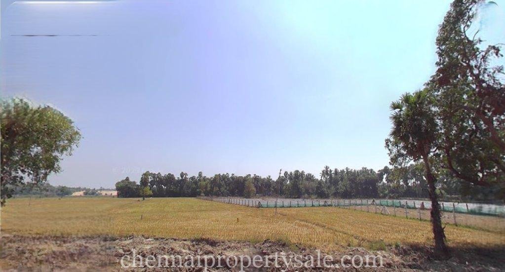 1.60 Acres industrial Land Sale in Paramankeni