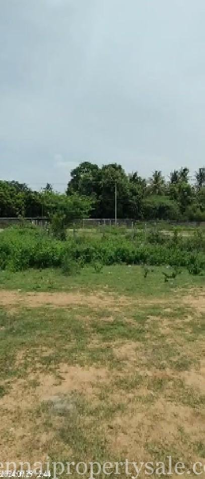 1800 Sq Feet Residential Land Sale in Guduvanchery 7 1800 Sq Feet Residential Land Sale in Guduvanchery