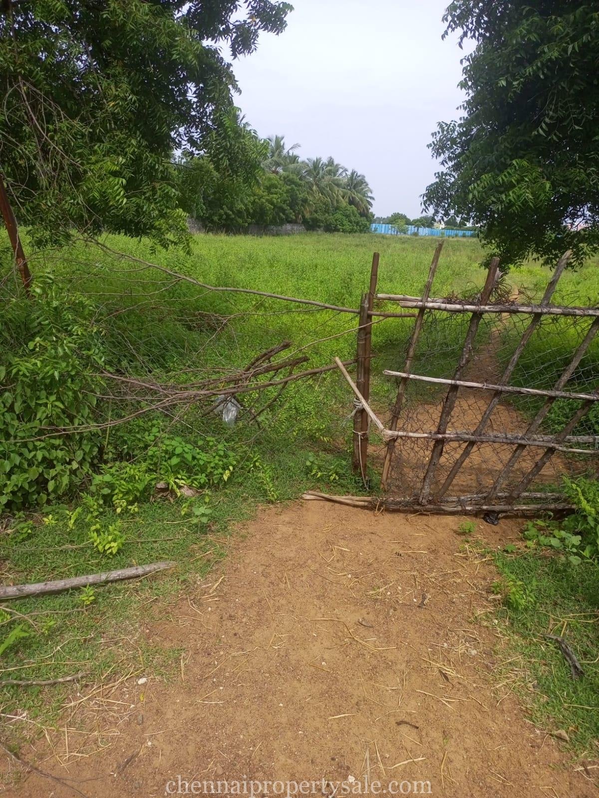 1 Acre 3.5 Cent Residential Land Sale in Thaiyur OMR