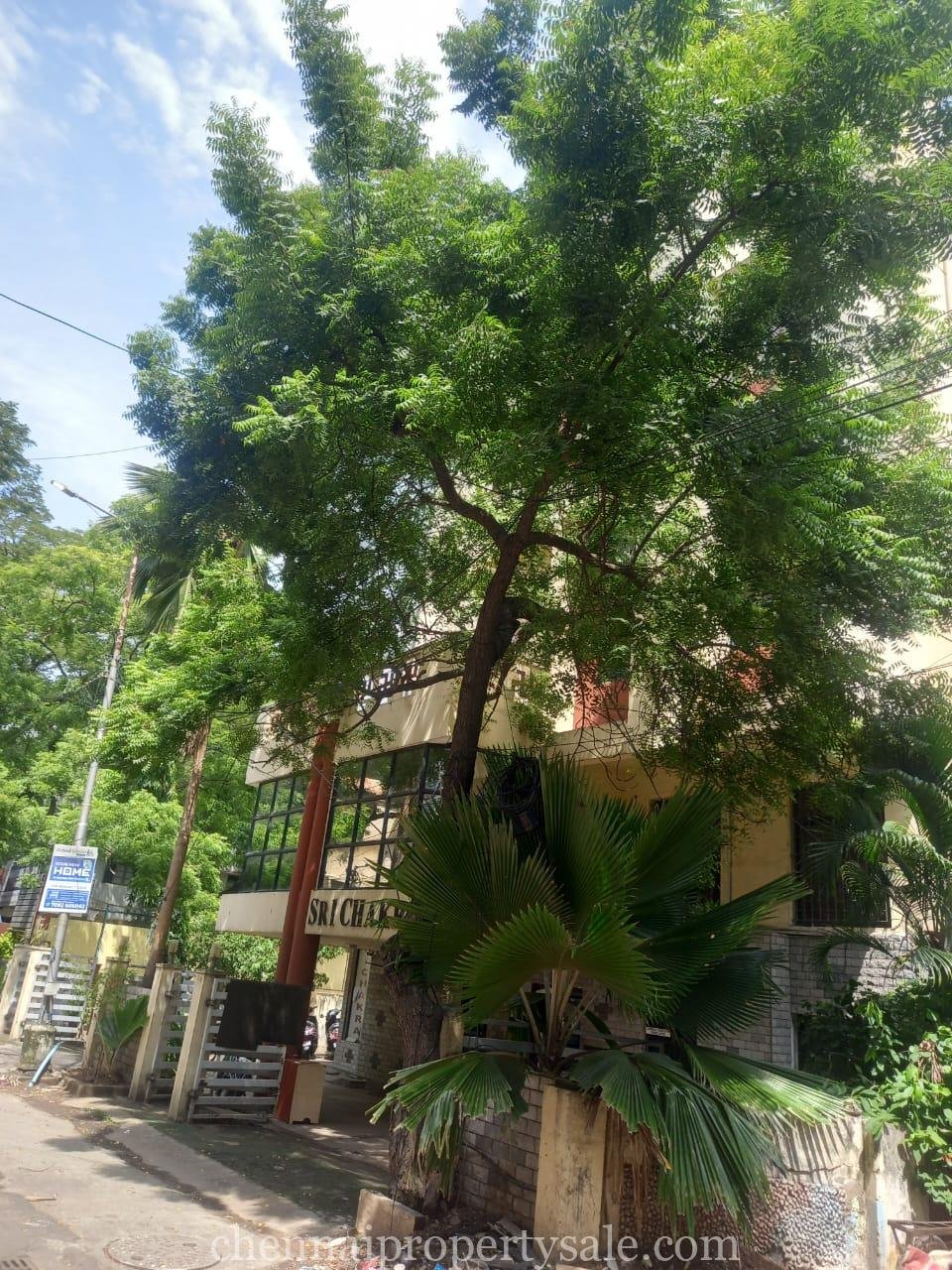 3 Ground Commercial Building Sale in Anna Nagar