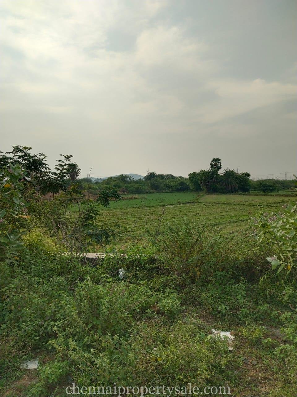 60 Acre Vacant Land Sale in Thiruporur - Chengalpattu Road