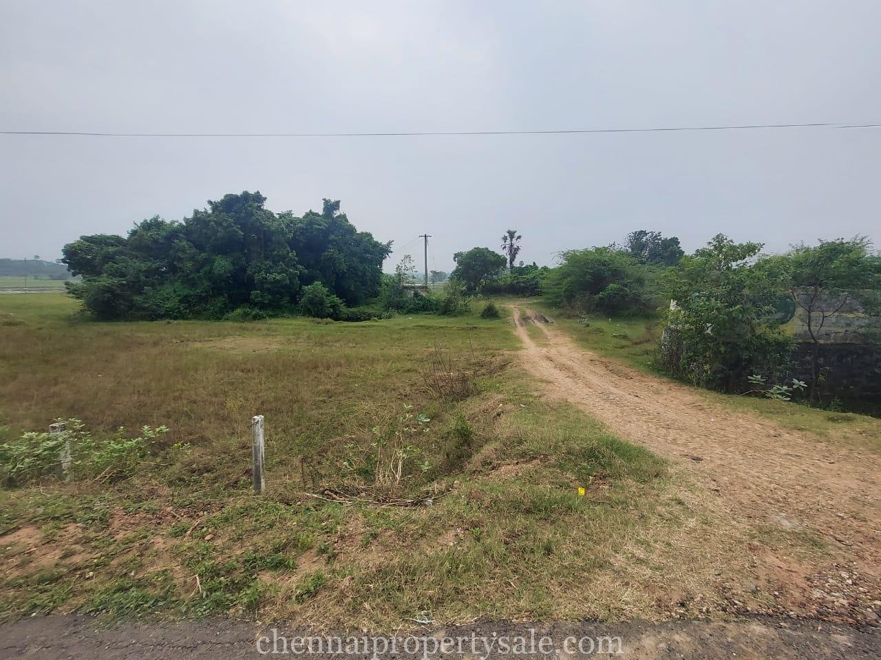 65 Acre Residential / Commercial Land Sale in Thiruporur