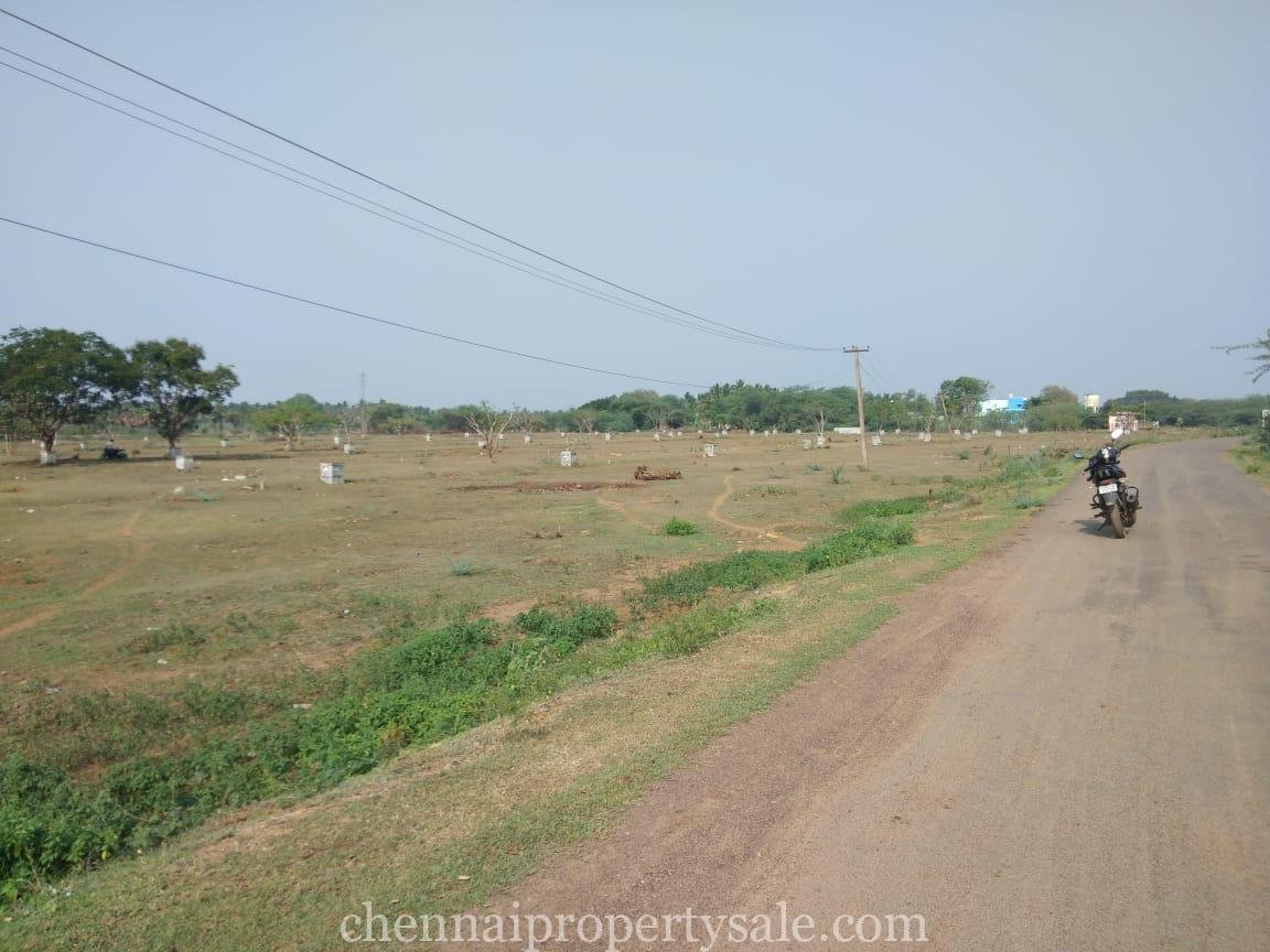 Plots Available For Marketing In Sunguvarchatram 4 DTCP Approved Plots Sale in Sunguvarchatram