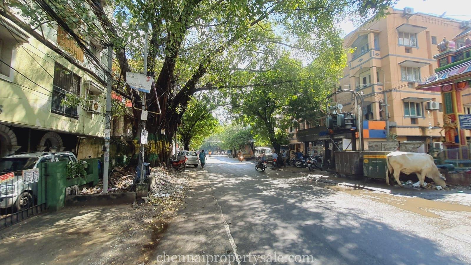 5000 Sq.Ft Land With Old Building Sale in Anna Nagar