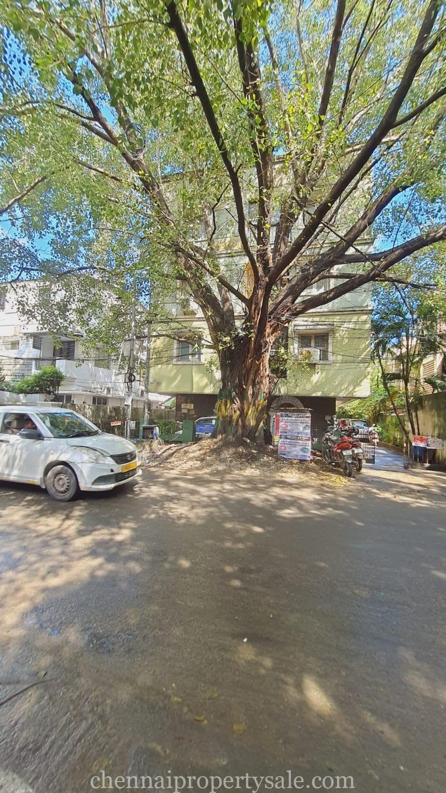 5000 Sq.Ft Land With Old Building Sale in Anna Nagar