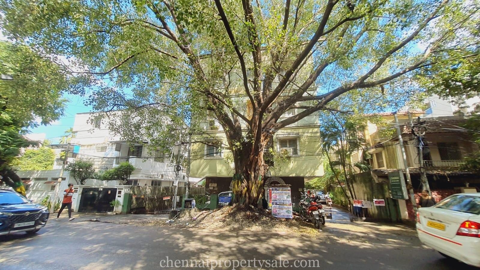 5000 Sq.Ft Land With Old Building Sale in Anna Nagar