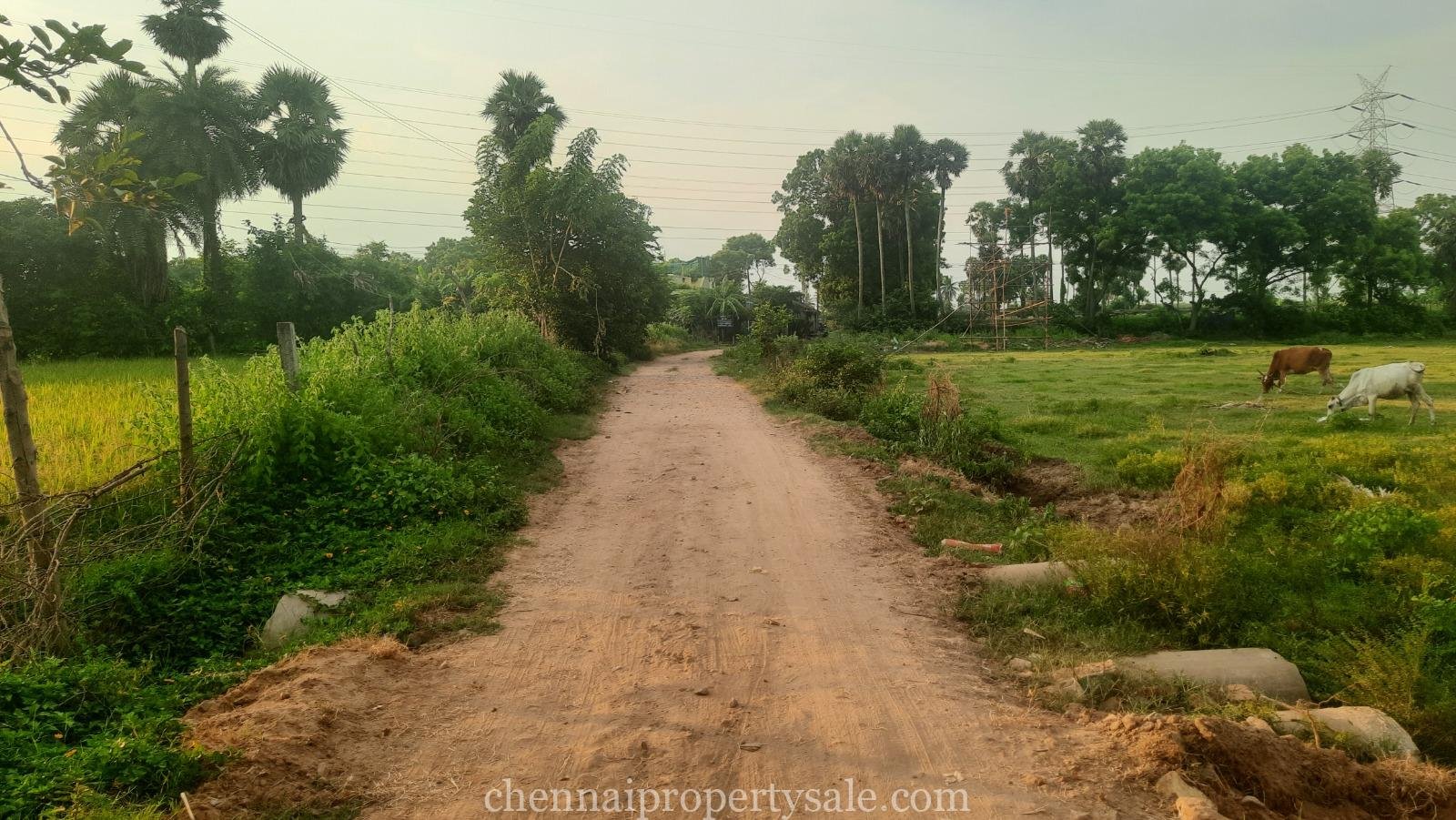 1.70 Acre Land Sale in Tiruvallur