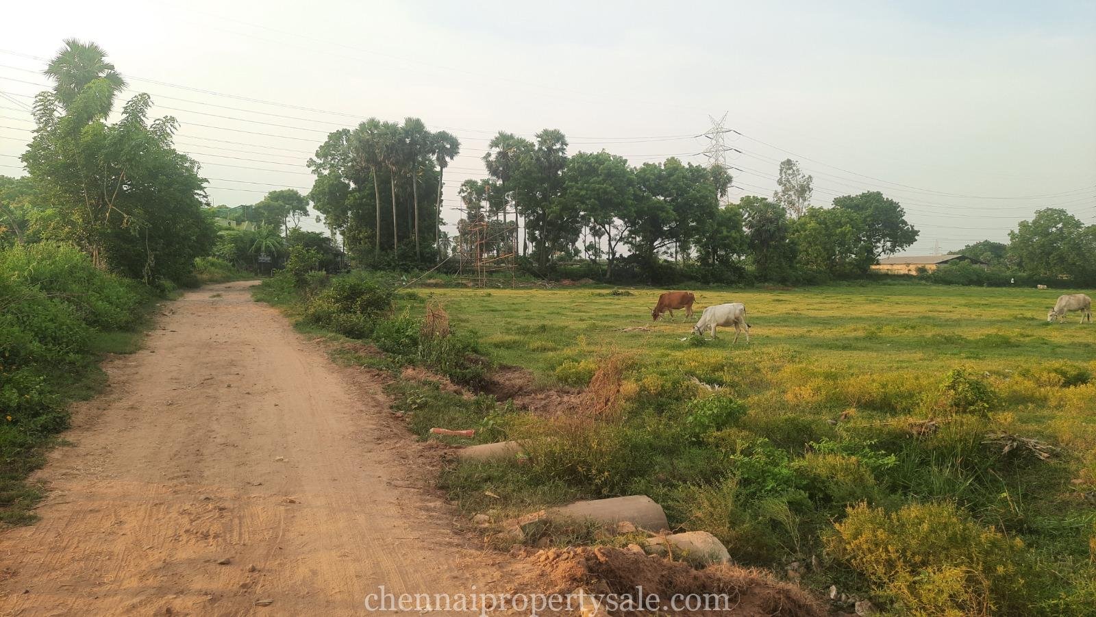 1.70 Acre Land Sale in Tiruvallur