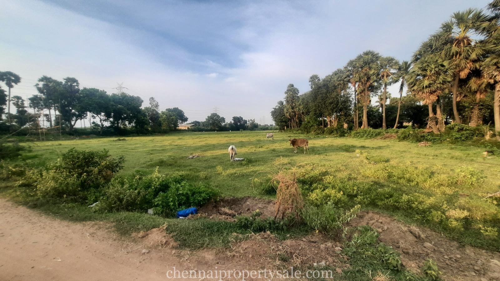 1.70 Acre Land Sale in Tiruvallur
