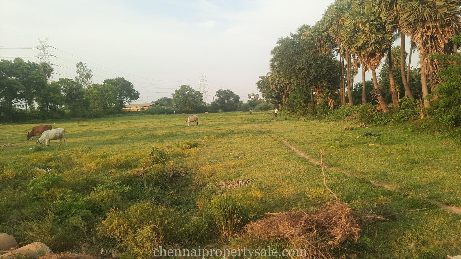 1.70 Acre Land Sale in Tiruvallur