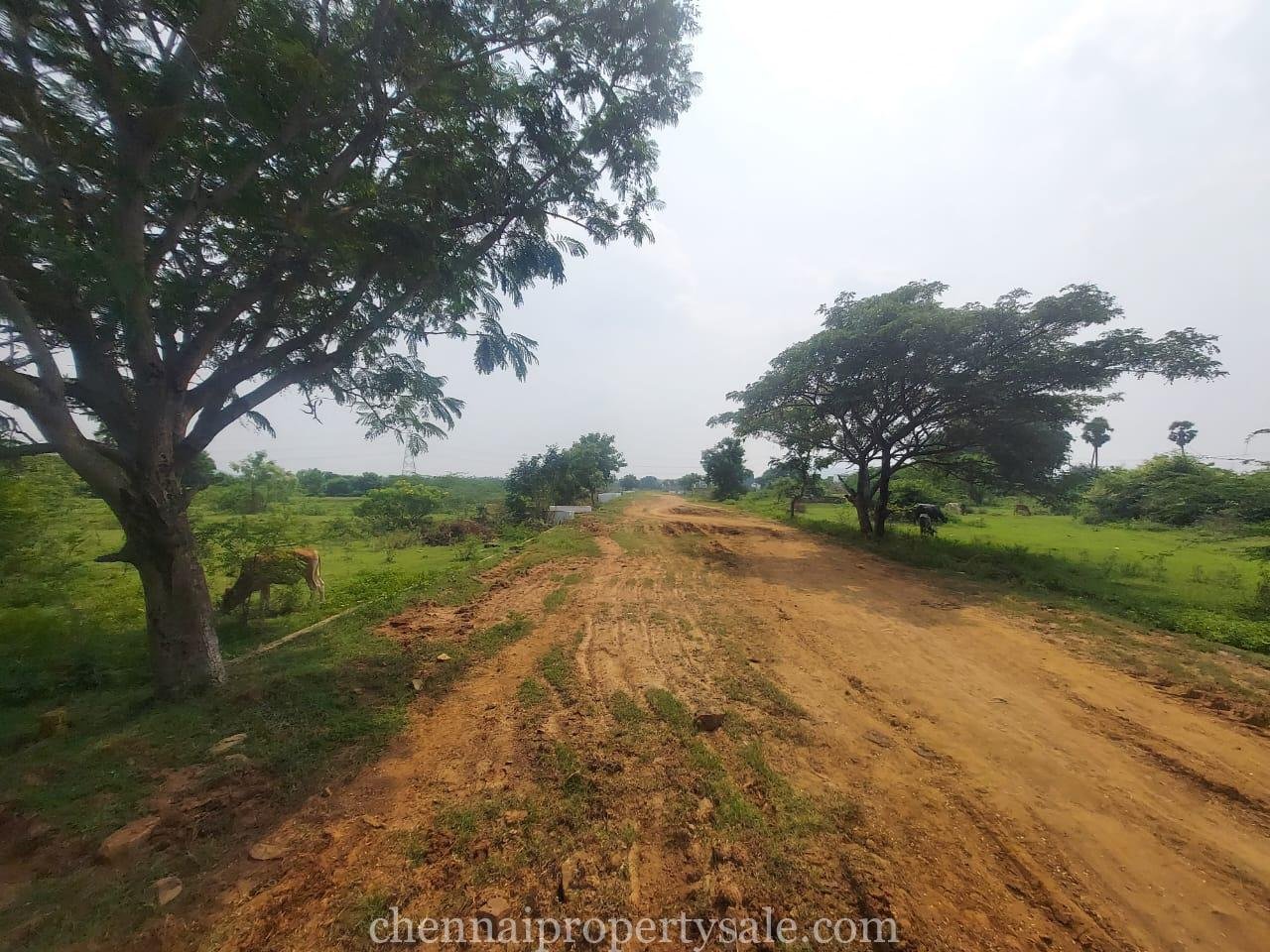 25 Acre Land Sale in Maraimalai Nagar