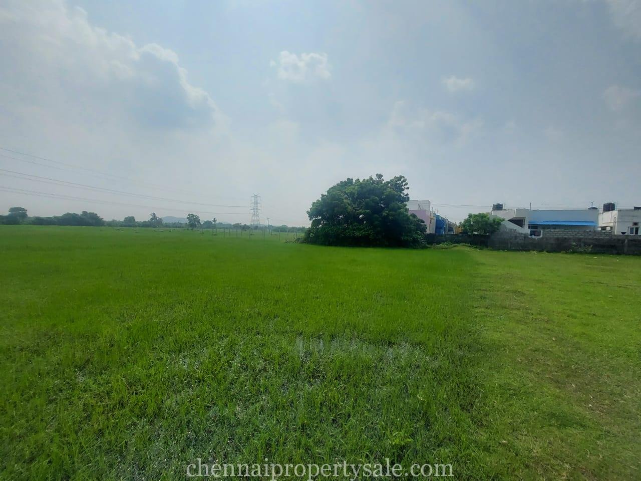 25 Acre Land Sale in Maraimalai Nagar