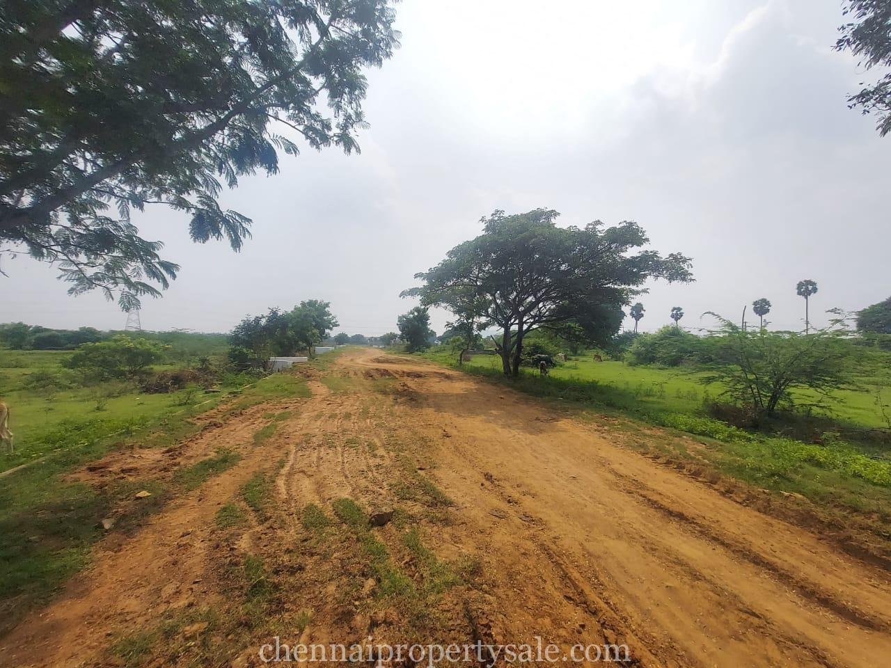 25 Acre Land Sale in Maraimalai Nagar