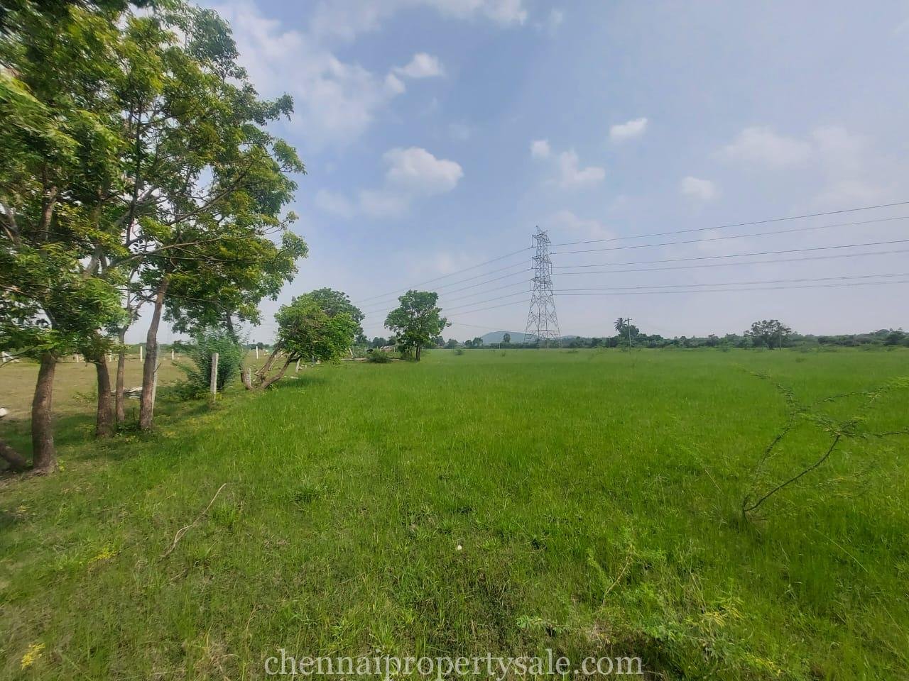 25 Acre Land Sale in Maraimalai Nagar