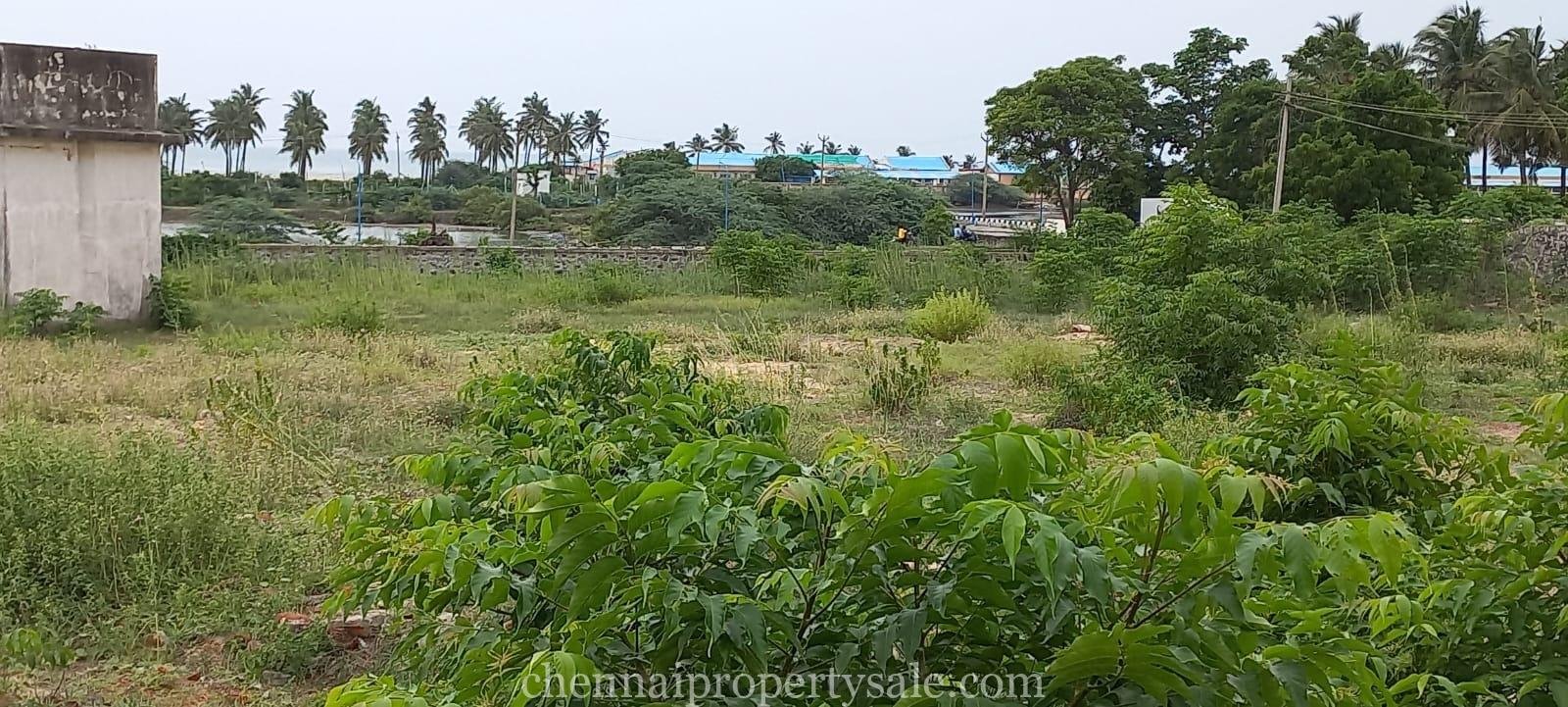 10 Acres Land Sale in Tiruvannamalai