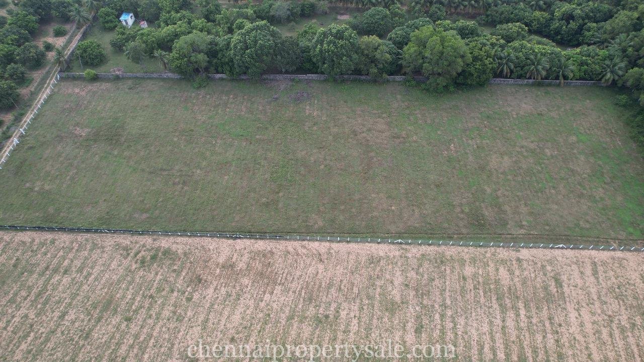3 Acre Farm Land Sale in Ecr Panaiyur