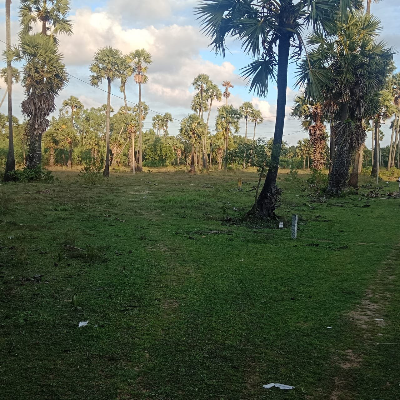 acre vacant land sale in Kuvathur 