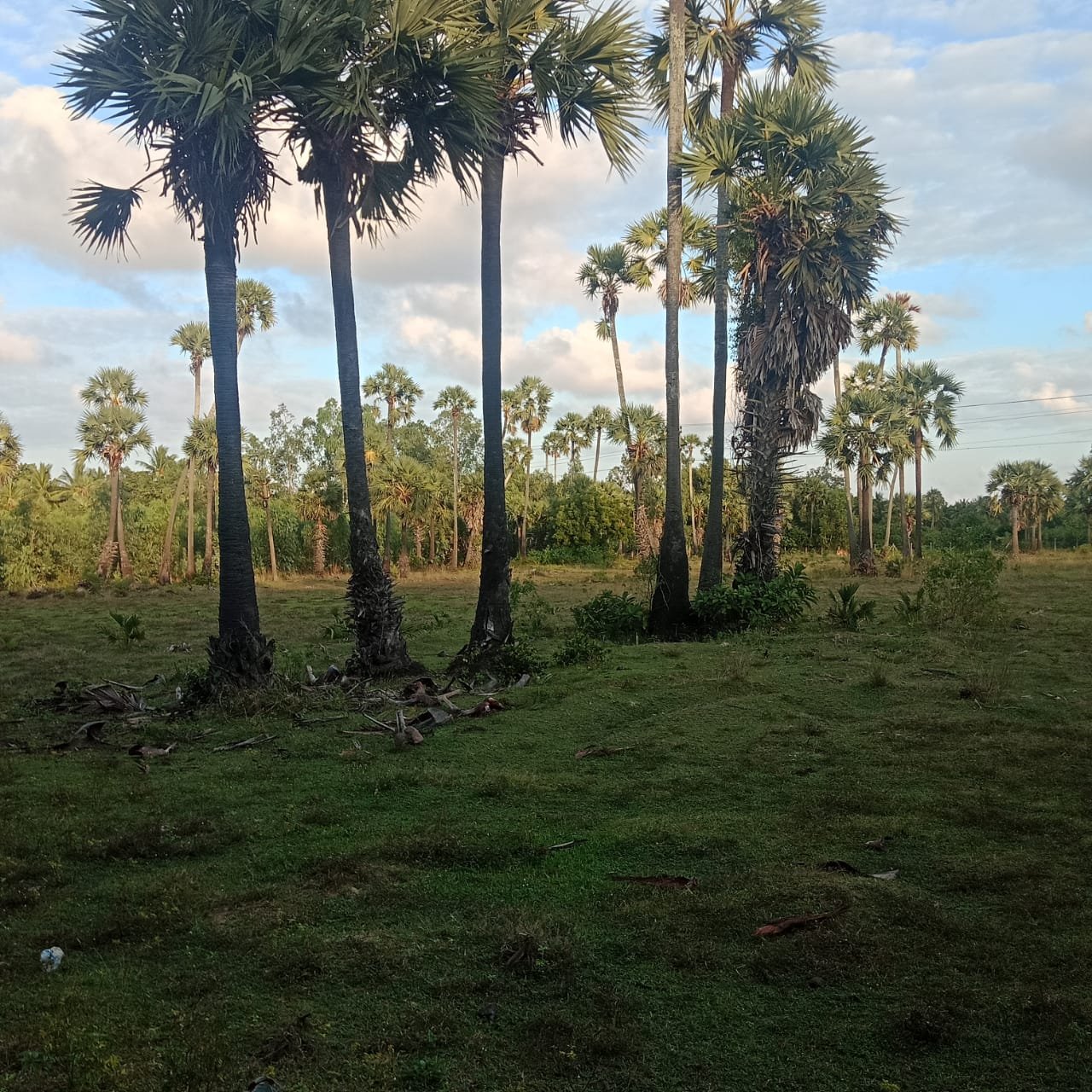 acre vacant land sale in Kuvathur 