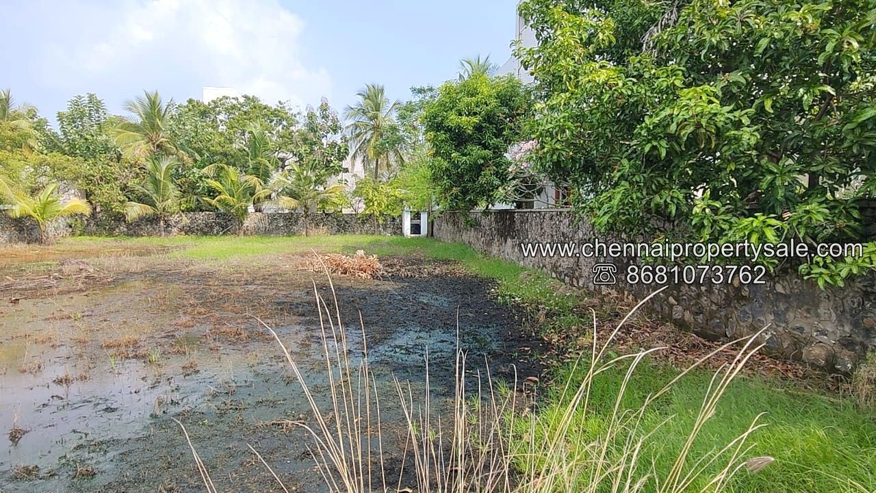 Residential Plot Sale in Muttukadu ECR Chennai