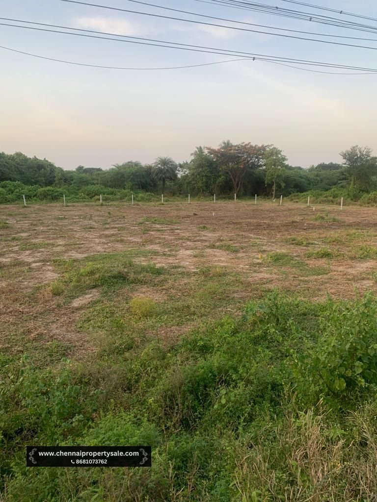 15180 Sqft On road Commercial Plot Sale in Thiruvallur