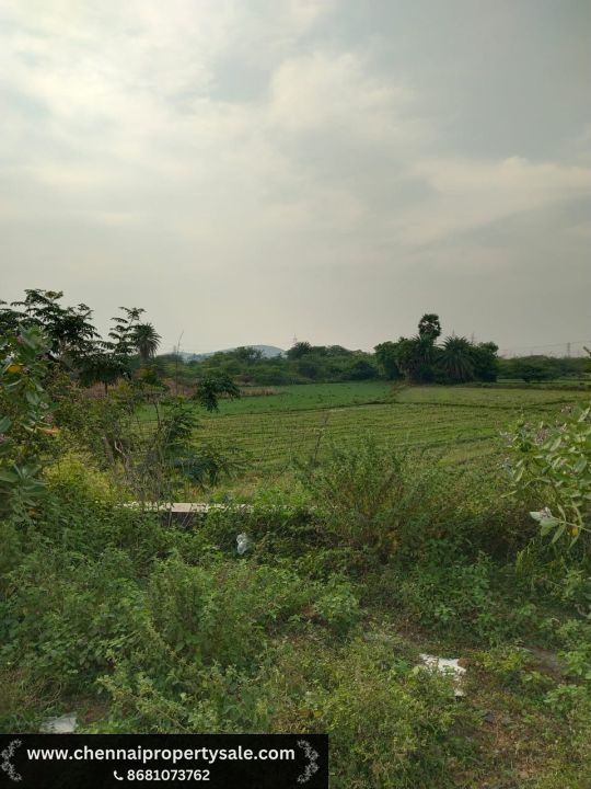 57 acres Onroad Land sale Near Thiruporur