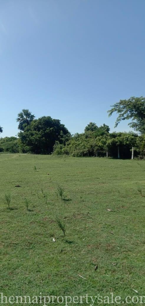 13 Acres industrial Land Sale in Maraimalai Nagar