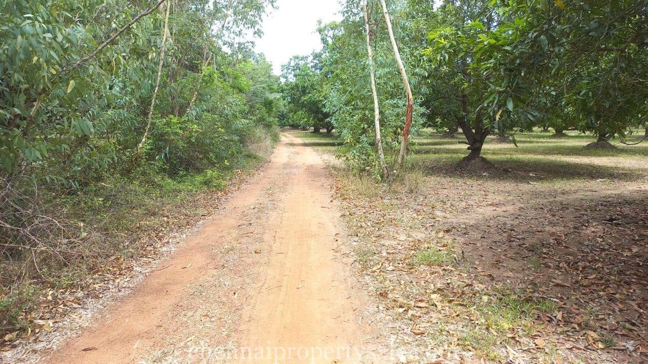  50 Acres industrial Land Sale in Gummidipoondi