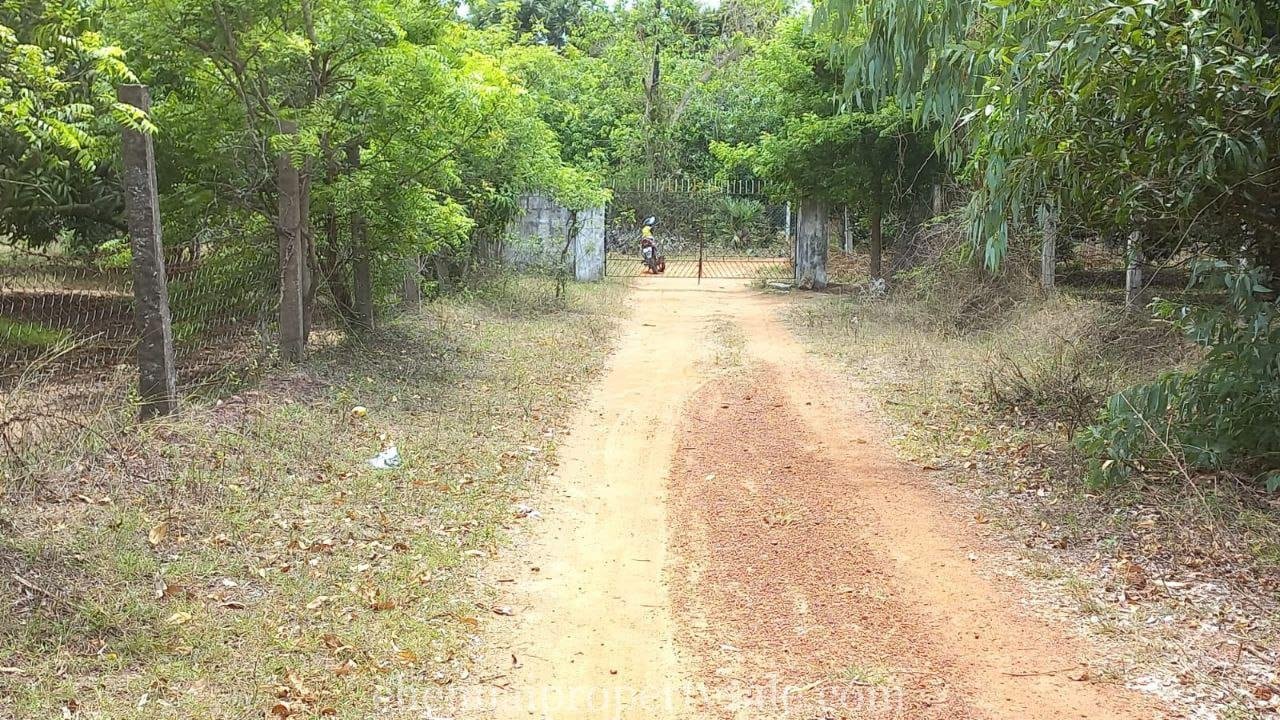 50 Acres industrial Land Sale in Gummidipoondi