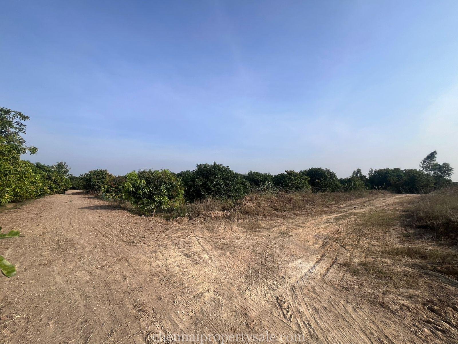  50 Acres industrial Land Sale in Gummidipoondi