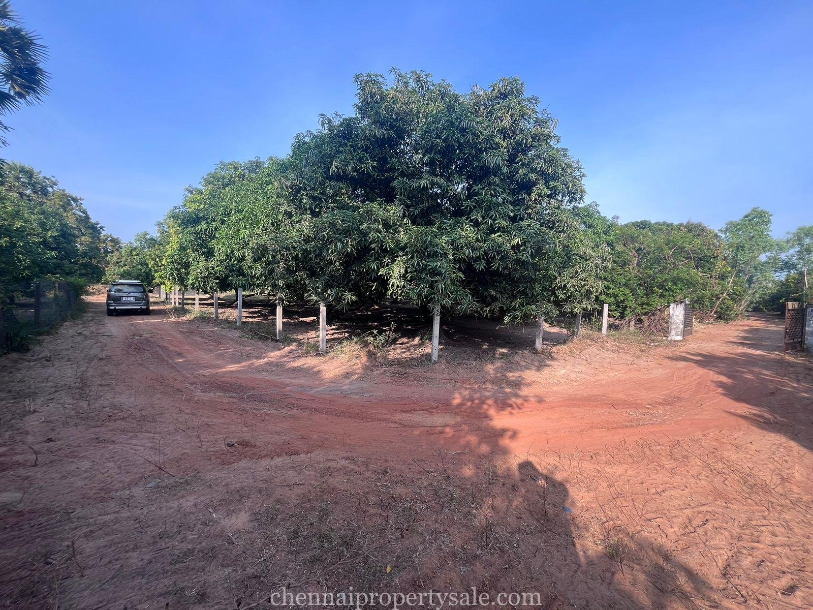  50 Acres industrial Land Sale in Gummidipoondi