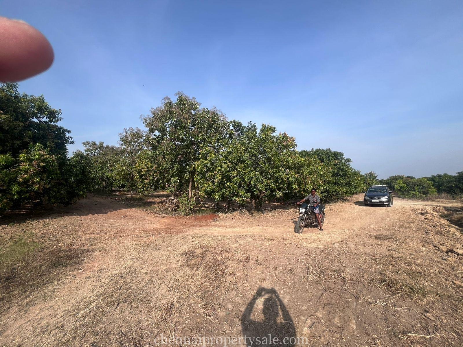  50 Acres industrial Land Sale in Gummidipoondi