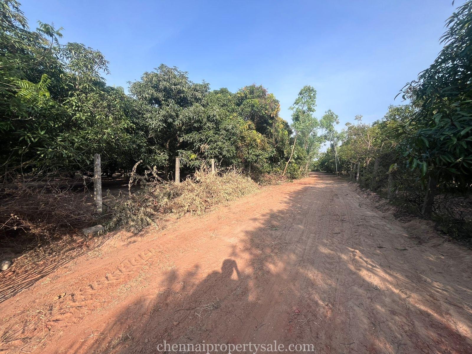  50 Acres industrial Land Sale in Gummidipoondi