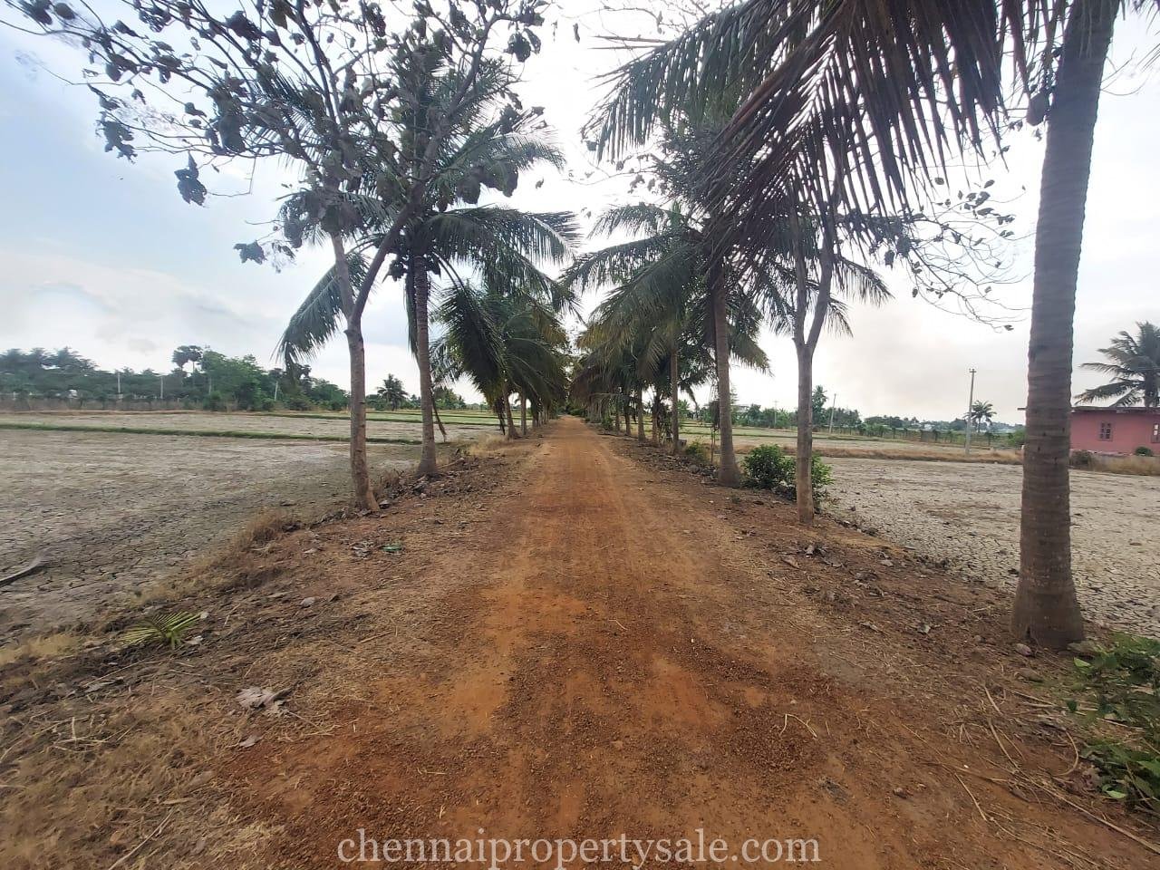 50 Acres industrial Land Sale in Periyapalayam 2 50 Acres industrial Land Sale in Periyapalayam