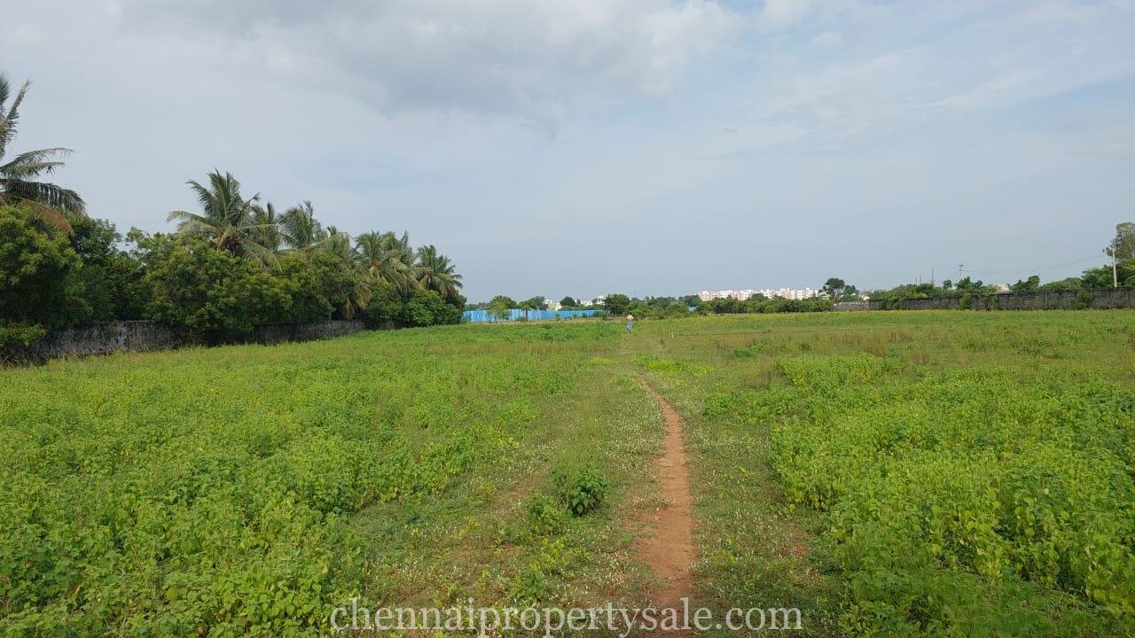 1 Acre 3.5 Cent Residential Land Sale in Thaiyur