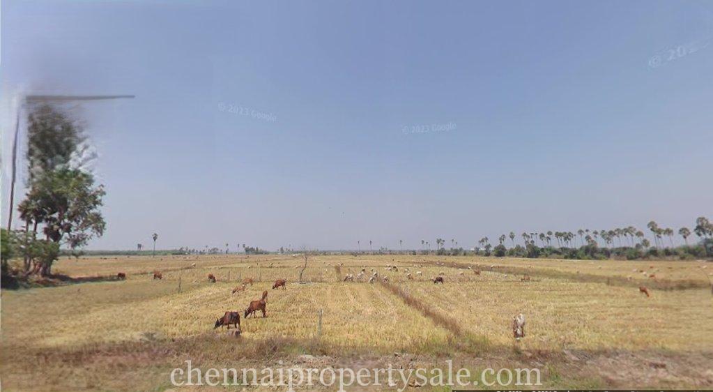 1.60 Acres industrial Land Sale in Paramankeni