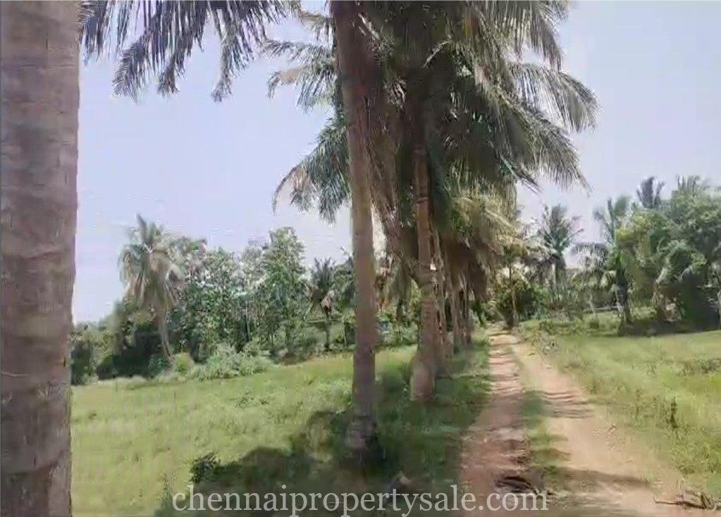 15 Acre Industrial Land Sale in Tirukazhukundram 2 15 Acre Industrial Land Sale in Tirukazhukundram