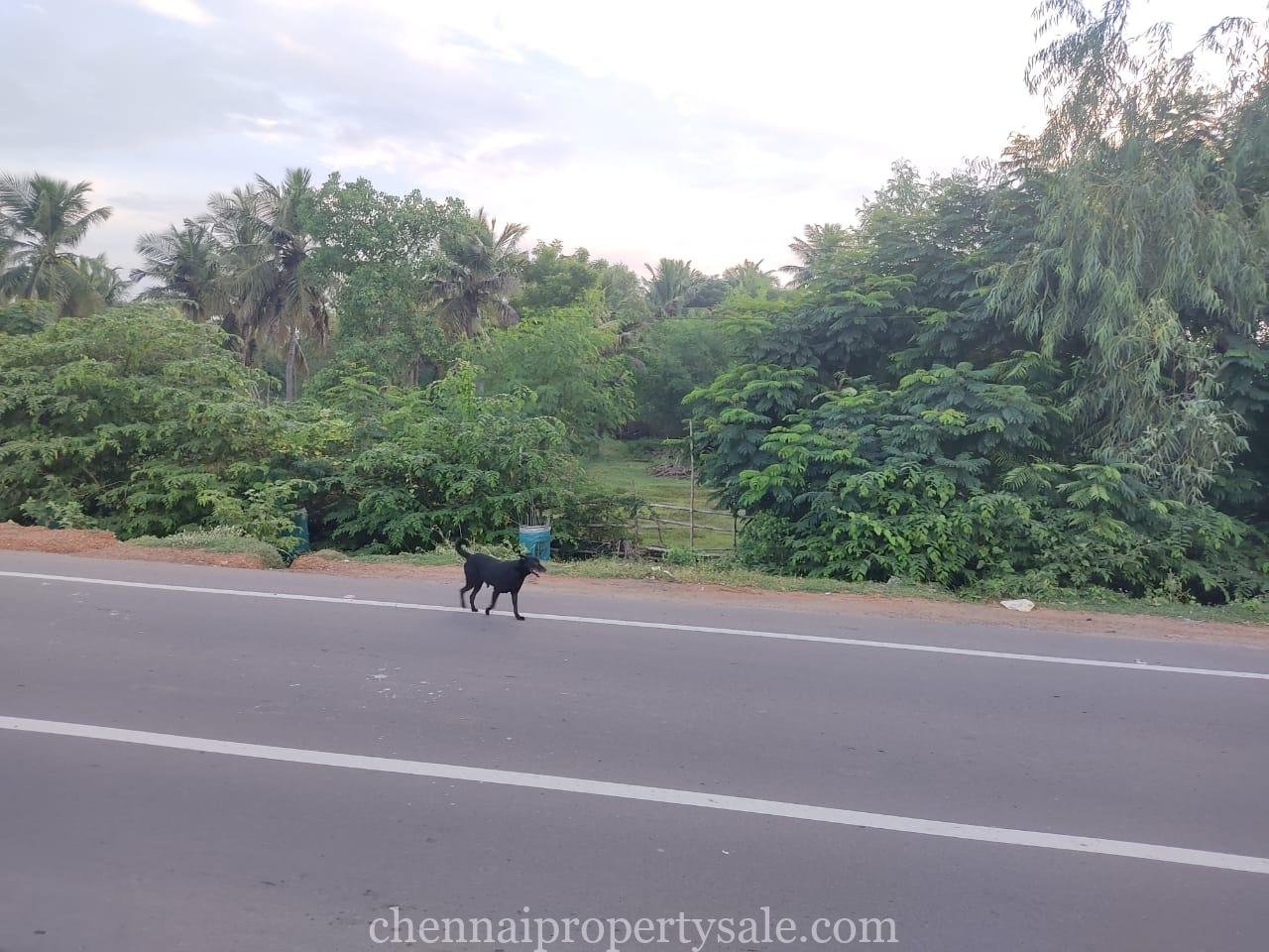 2.29 Acre Industrial Land Sale in Sriperumbudur