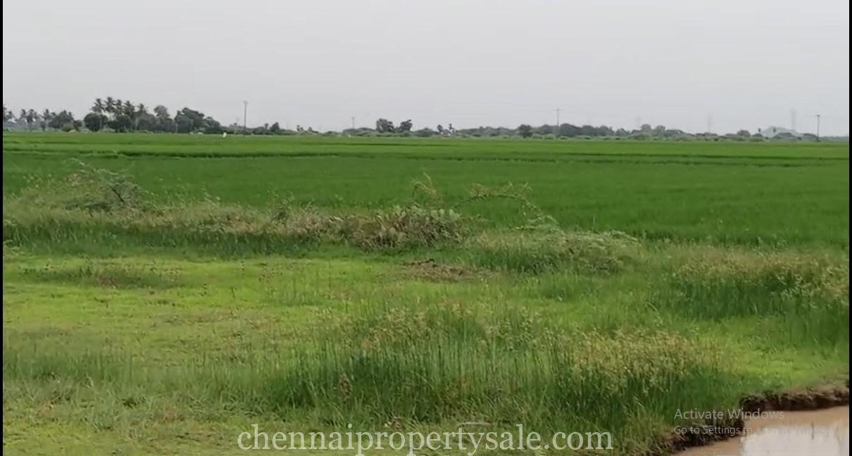 23 Acre Agriculture Land Sale in Chengalpattu 25 23 Acre Agriculture Land Sale in Chengalpattu