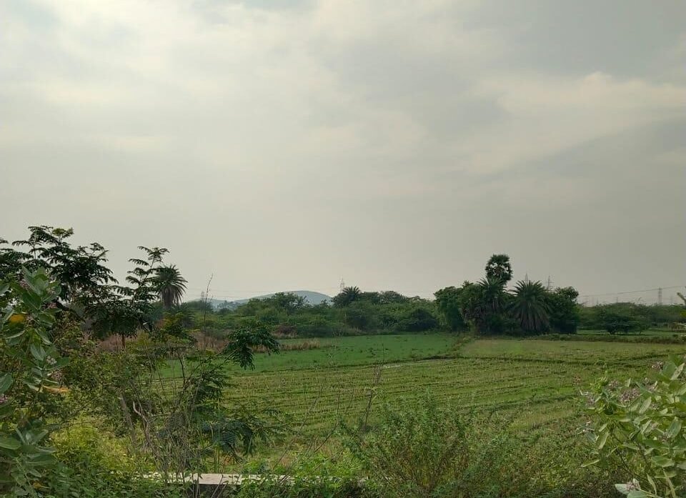 60 Acre Vacant Land Sale in Thiruporur - Chengalpattu Road