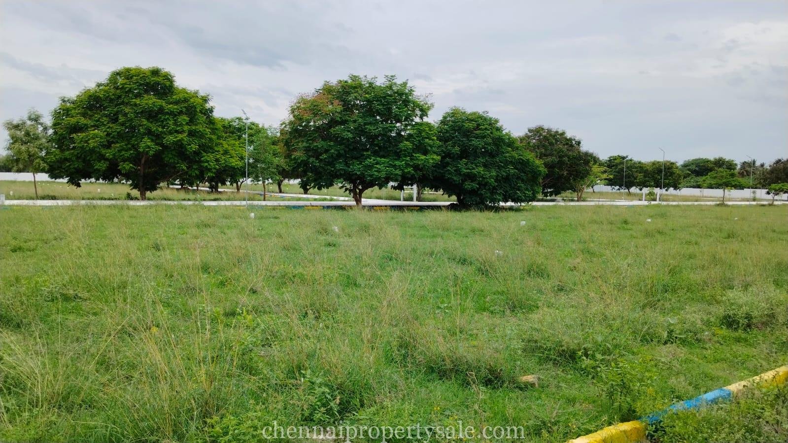 Premium Residential Plot Sale in Tiruttani