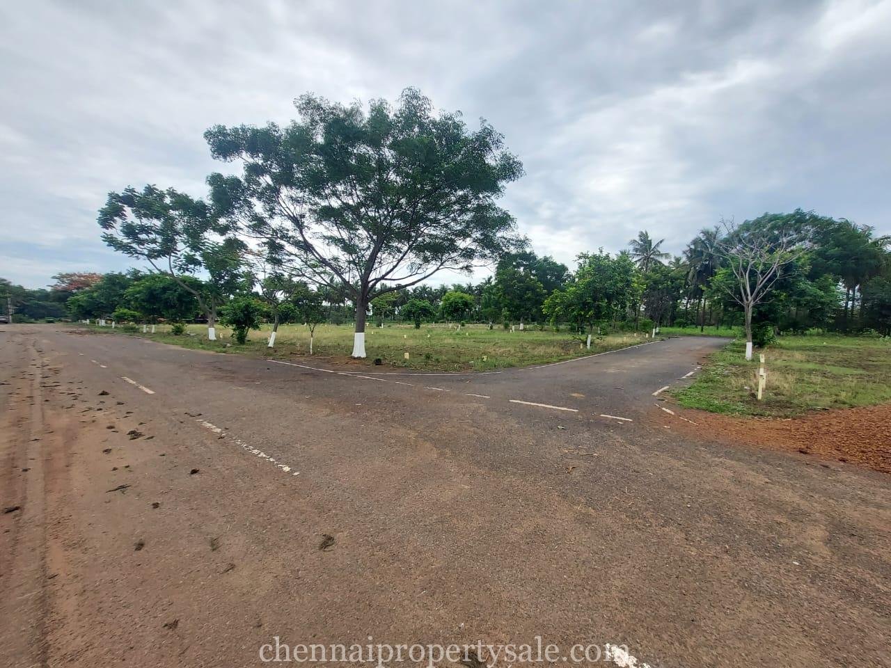 22 Acre Land Sale in Peravallur 26 22 Acre Land Sale in Peravallur