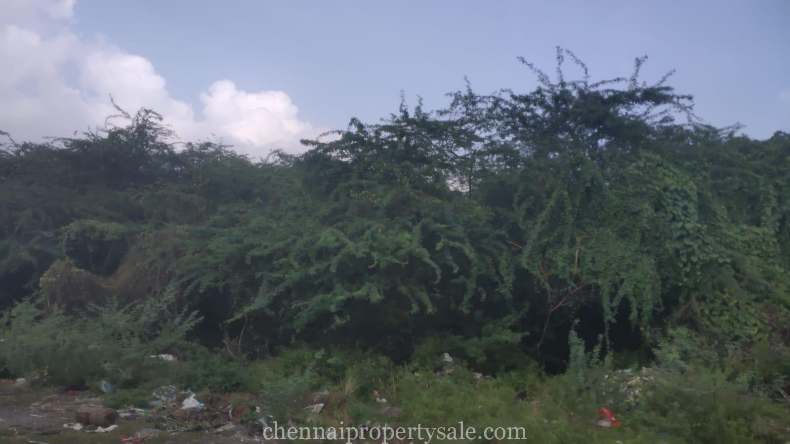 2.5 Acre Land Sale in Irandamkattalai Near Tharapakkam