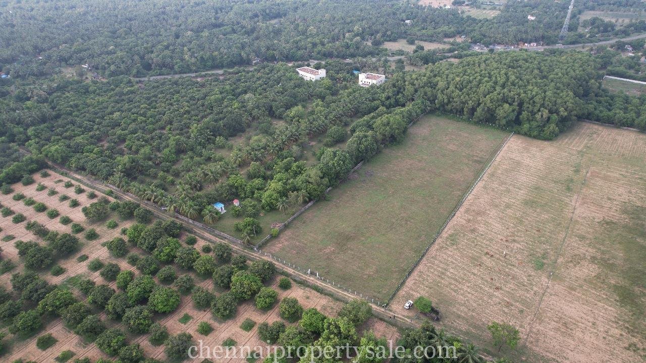 3 Acre Farm Land Sale in Ecr Panaiyur