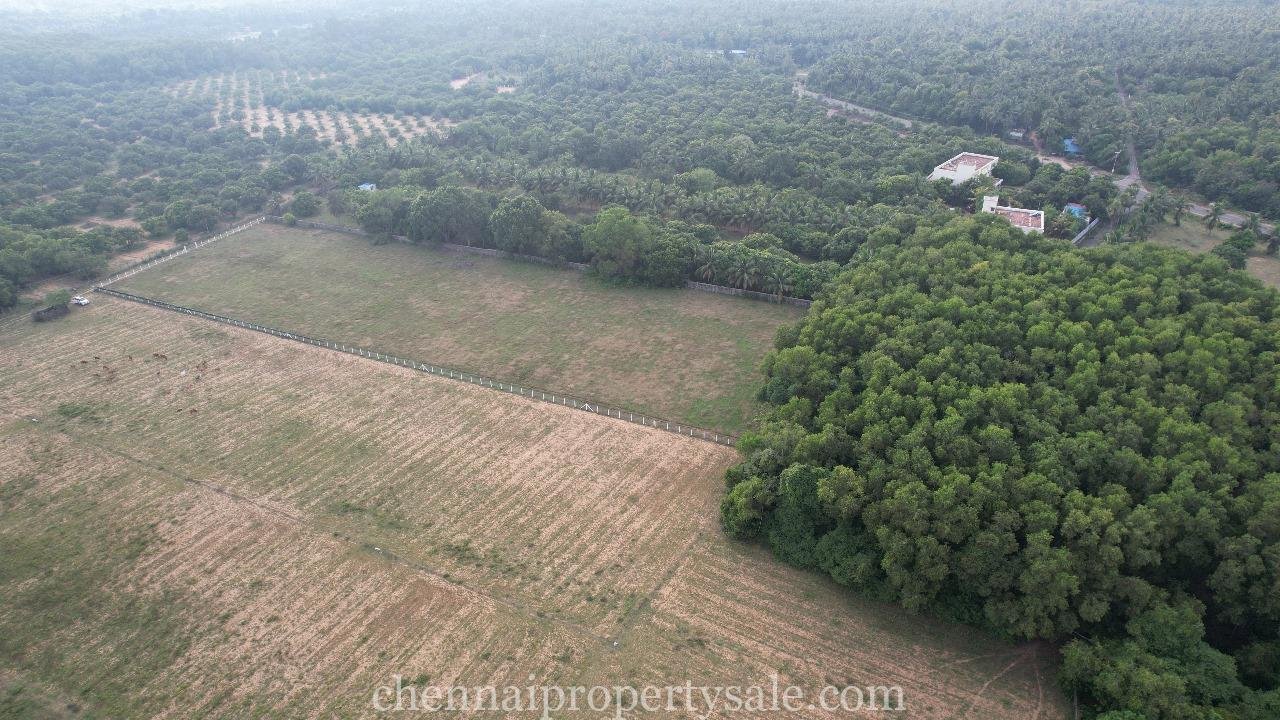 3 Acre Farm Land Sale in Ecr Panaiyur