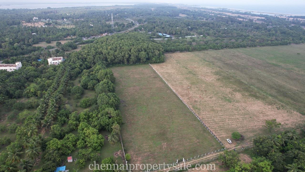 3 Acre Farm Land Sale in Ecr Panaiyur