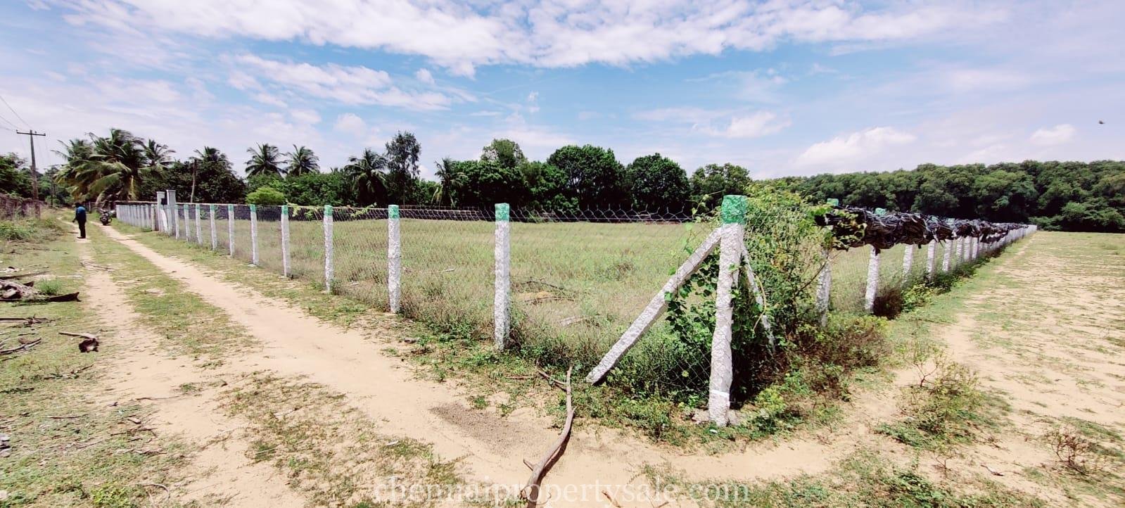 3 Acre Farm Land Sale in Ecr Panaiyur